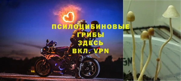 МДПВ Остров