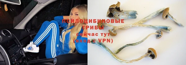 герыч Няндома