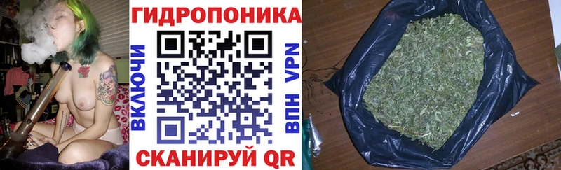 Бошки Шишки тримм Струнино